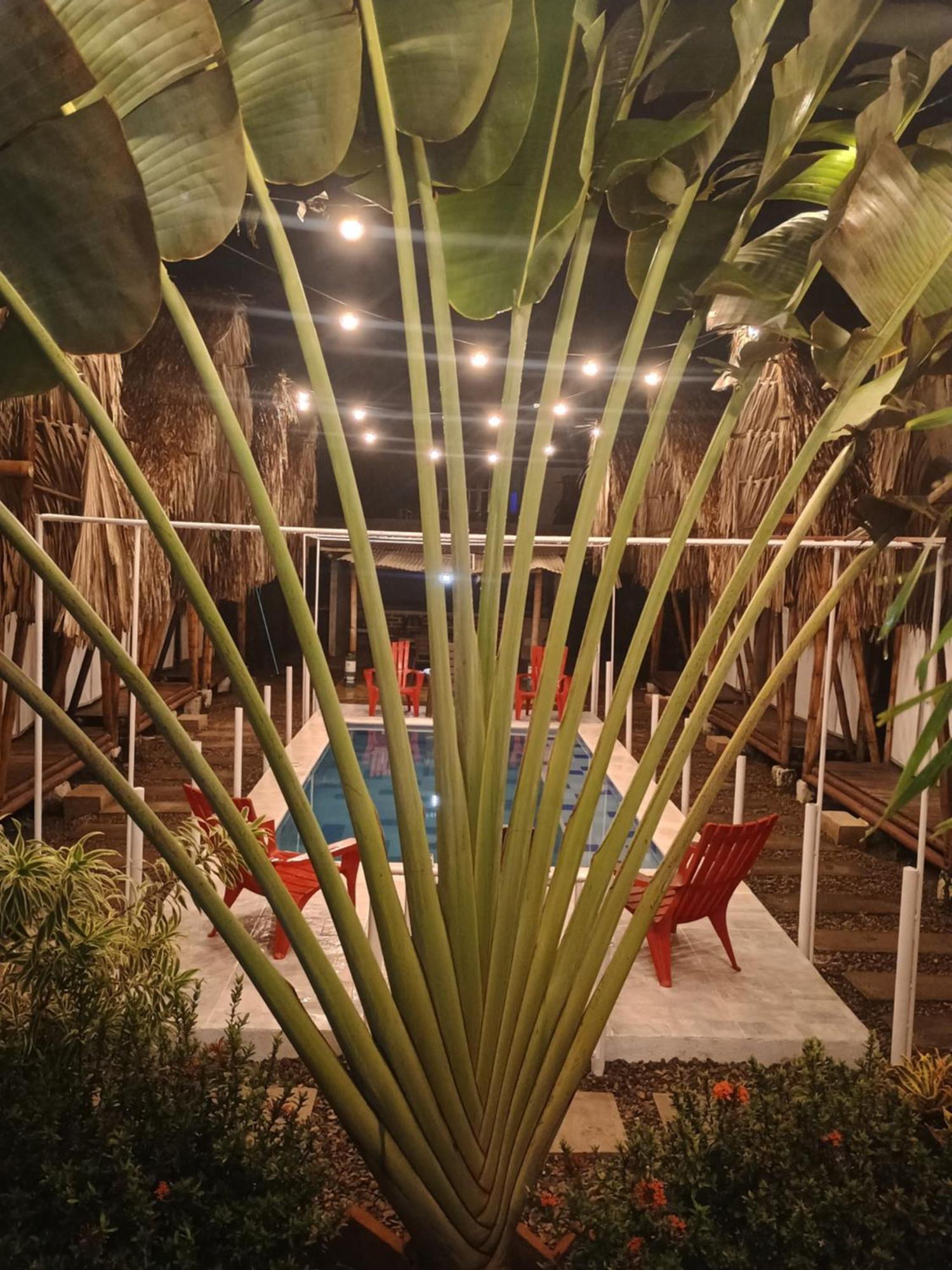 Cabana Beach Palomino Extérieur photo
